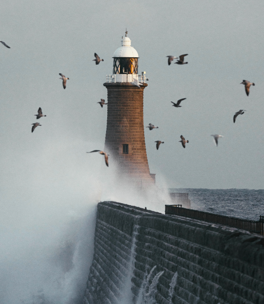 faro con aves y olas golpeando